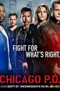 Полиция Чикаго 1-13 сезон 