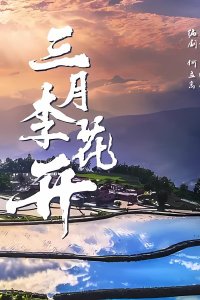 Слива цветёт в марте (2025)